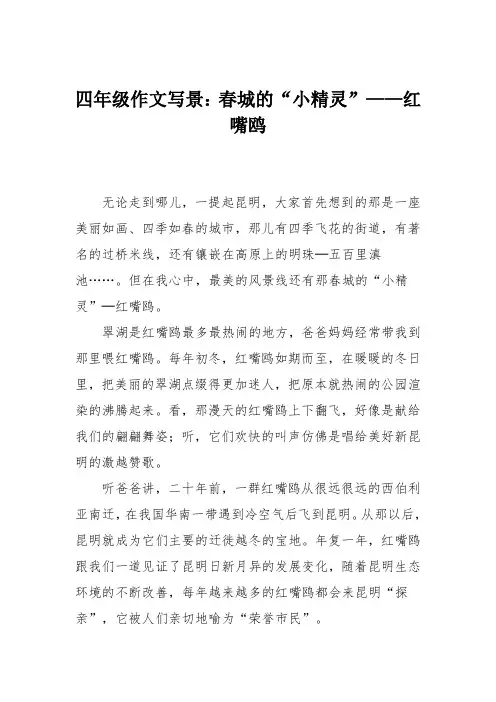 四年级作文写景：春城的“小精灵”——红嘴鸥