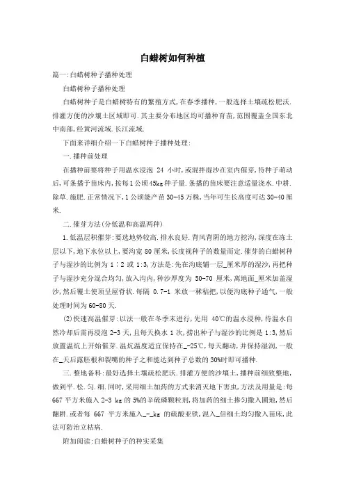白蜡树如何种植