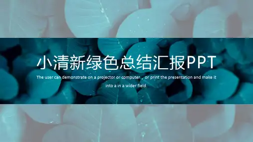 小清新绿色总结汇报PPT模板
