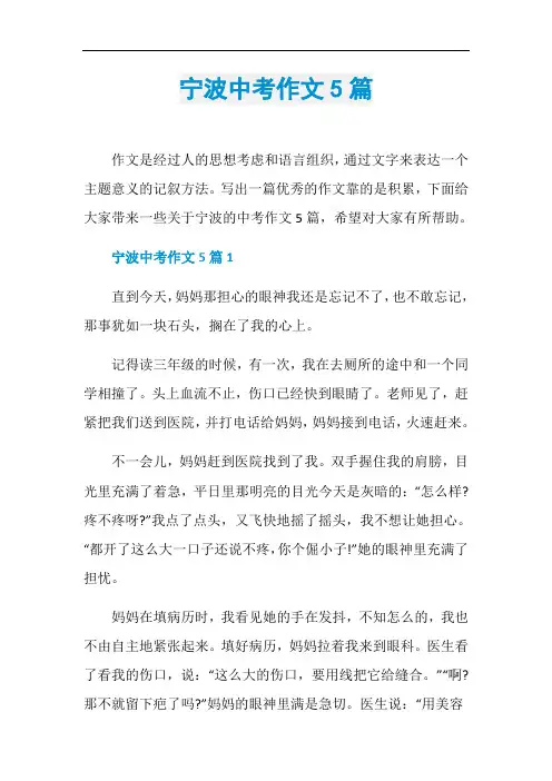宁波中考作文5篇