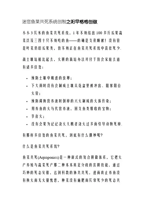 迷你鱼菜共生系统制作