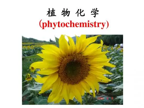 植物化学课件第一章