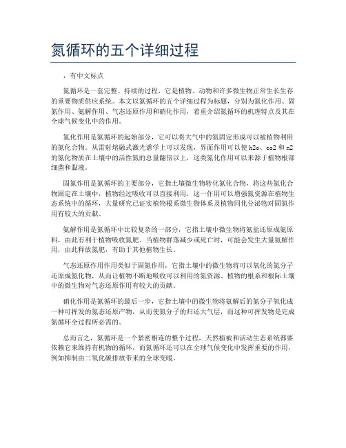 氮循环的五个详细过程