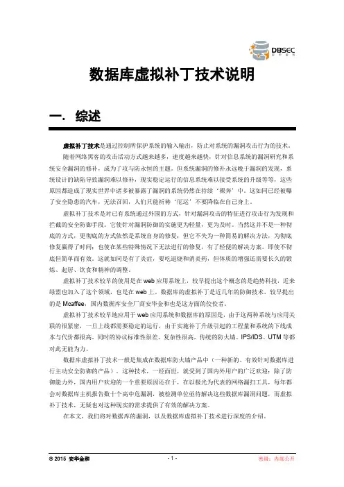 安华金和：数据库虚拟补丁技术说明