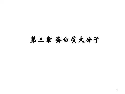 分子生物学第三章蛋白质大分子结构与功能