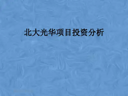北大光华项目投资分析