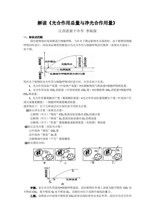 解读《光合作用总量与净光合作用量》