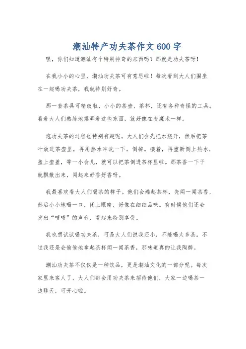 潮汕特产功夫茶作文600字