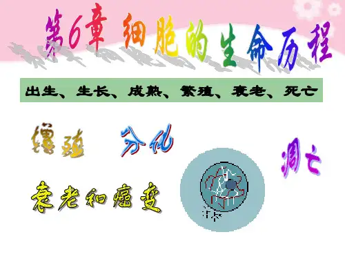人教版高中生物必修一第6章第1节 细胞的增殖课件