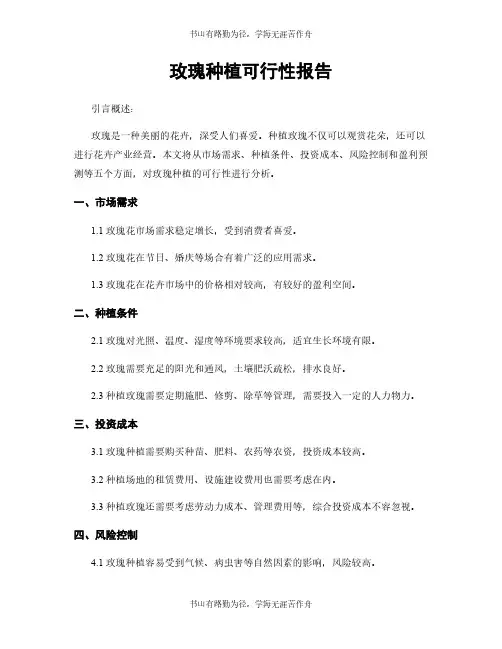 玫瑰种植可行性报告