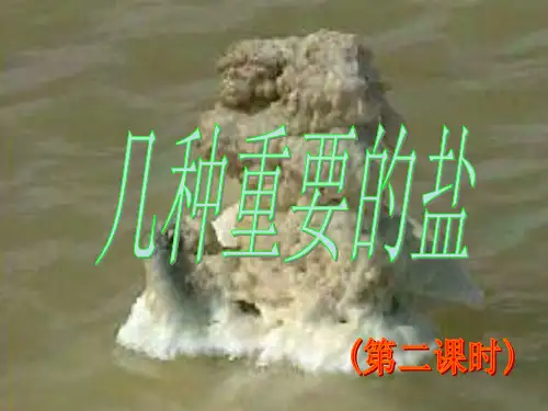 九年级化学全册 第7章 应用广泛的酸、碱、盐 第3节 几种重要的盐2 沪教版A