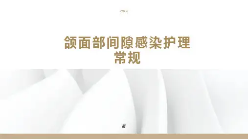 颌面部间隙感染护理常规