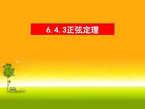 人教版高中数学新教材必修第二册课件6.4.3 正弦定理1