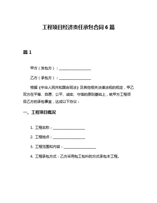 工程项目经济责任承包合同6篇