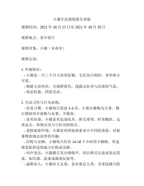 小猫生活观察报告表格