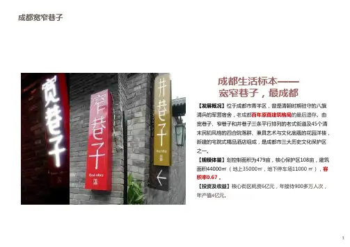 2020年成都宽窄巷子案例研究(最全)