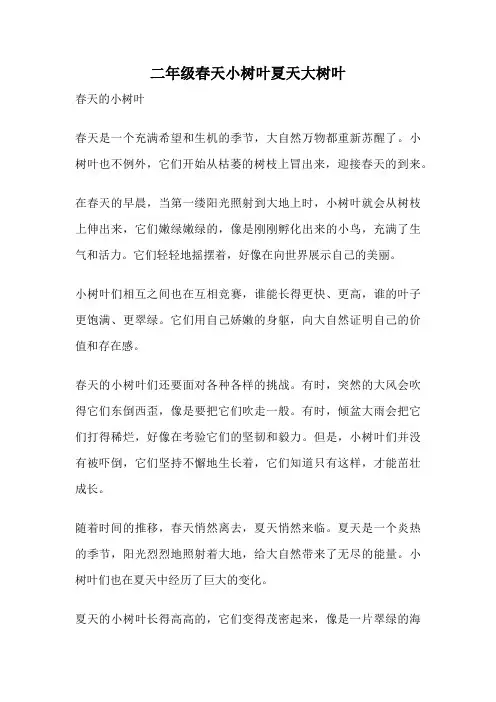 二年级春天小树叶夏天大树叶