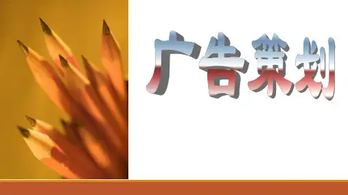 广告创意与策划方案(PPT31页)