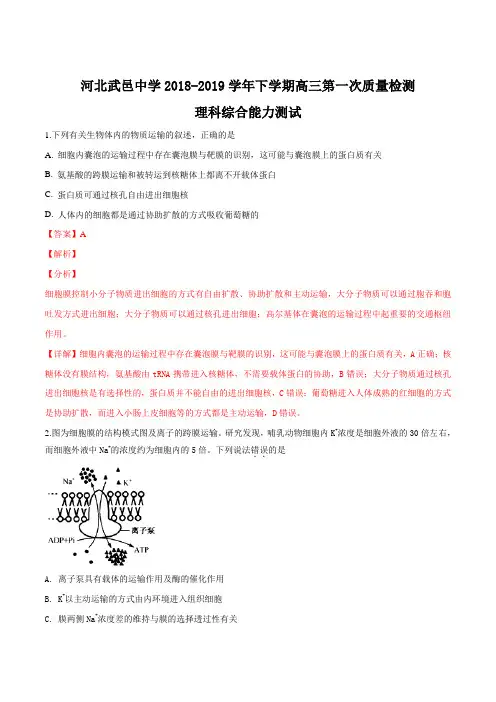 河北省武邑中学2019届高三下学期第一次质检生物试题(解析版)