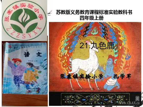 九色鹿说课稿_PPT