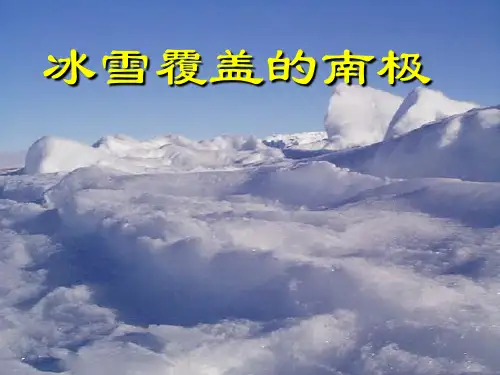 伟大的悲剧优秀课件伟大的悲剧ppt