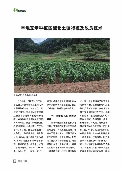 旱地玉米种植区酸化土壤特征及改良技术