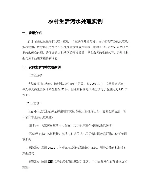 农村生活污水处理实例