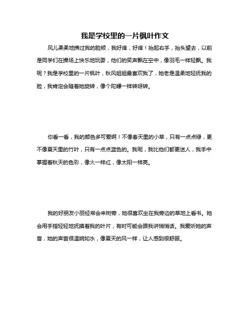 我是学校里的一片枫叶作文
