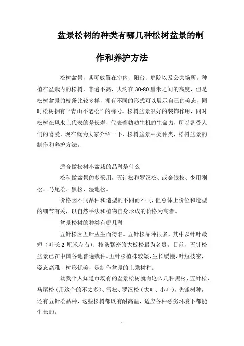 盆景松树的种类有哪几种松树盆景的制作和养护方法
