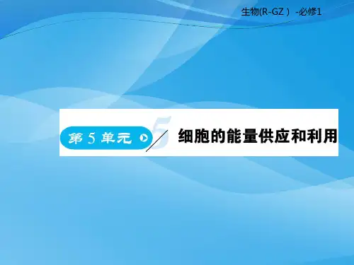 高中生物必修一第5章《细胞的能量供应和利用》ppt课件(【人教版6份)生物课件PPT
