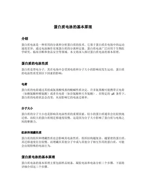 蛋白质电泳的基本原理