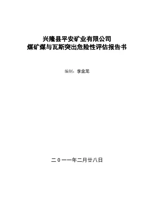 煤与瓦斯突出危险性评估报告