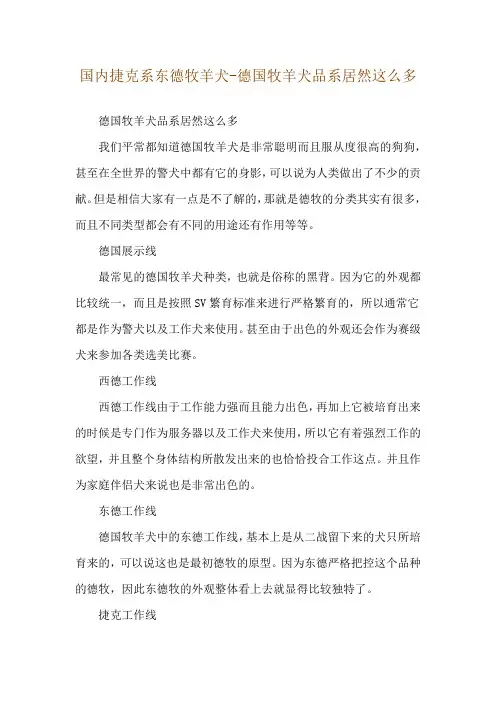 国内捷克系东德牧羊犬-德国牧羊犬品系居然这么多