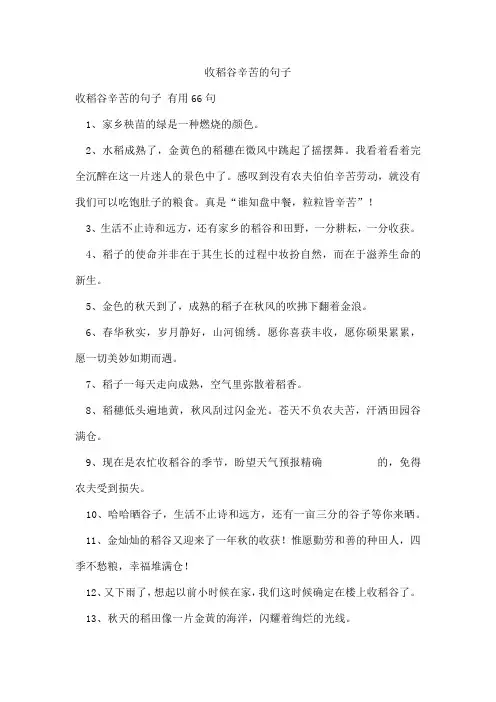 收稻谷辛苦的句子
