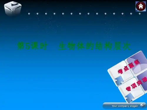 生物体的结构层次(共26张PPT)