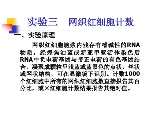 (三)网织红细胞计数