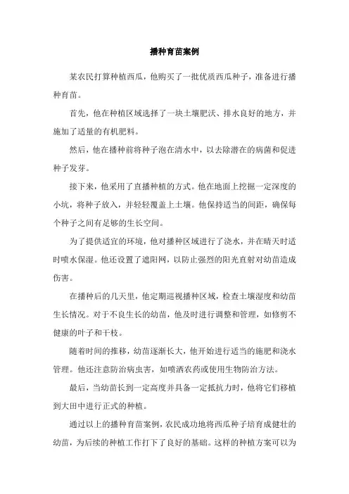 播种育苗案例