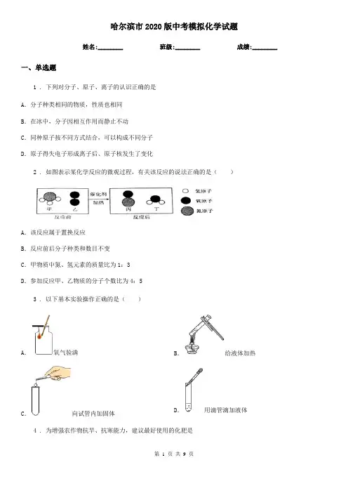 哈尔滨市2020版中考模拟化学试题