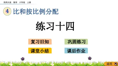 西师大版六年级数学上册《练习十四》优质课件