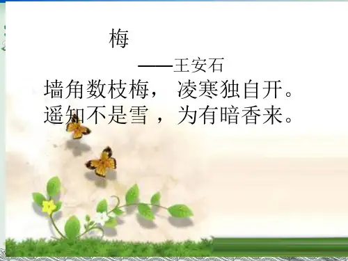 三年级下册语文课件《花钟》人教部编版