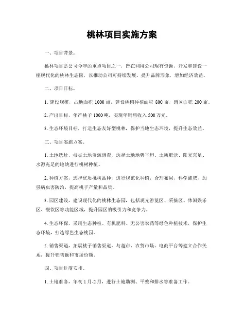 桃林项目实施方案