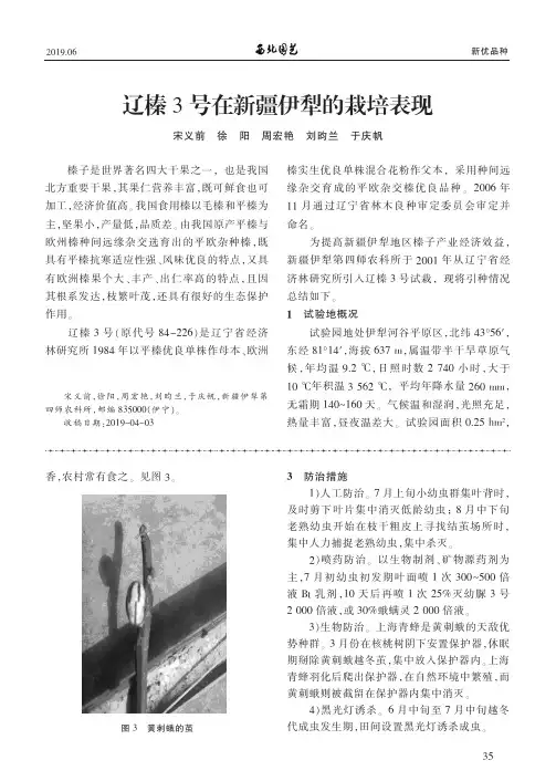 辽榛3号在新疆伊犁的栽培表现