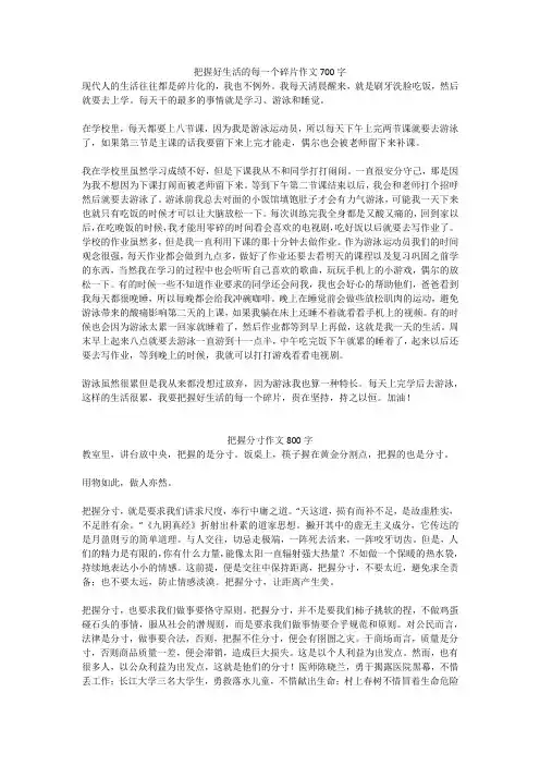 把握分寸作文800字