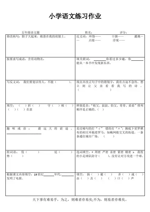 小学五年级语文精作细练II (5)