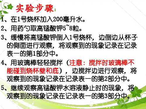 四年级科学上册课件2.2物质在水中是怎样溶解的教科版共8张PPT