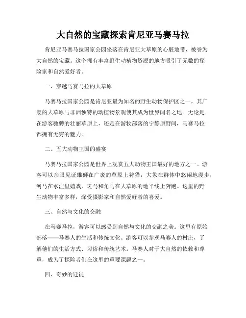 大自然的宝藏探索肯尼亚马赛马拉