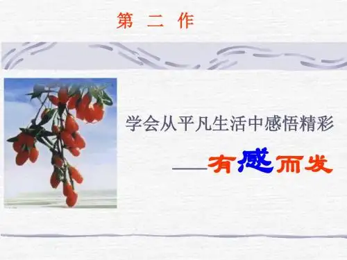 中考作文片断训练PPT课件(片段训练等5个文件)2