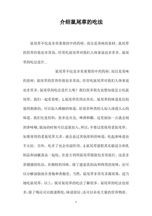 介绍鼠尾草的吃法