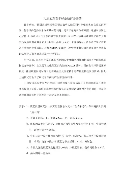大脑的左右半球是如何分开的