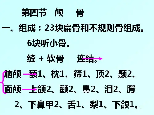 解剖学颅骨及其连结PPT课件
